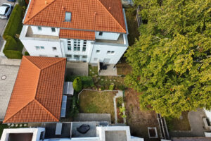 Blick in den Garten
