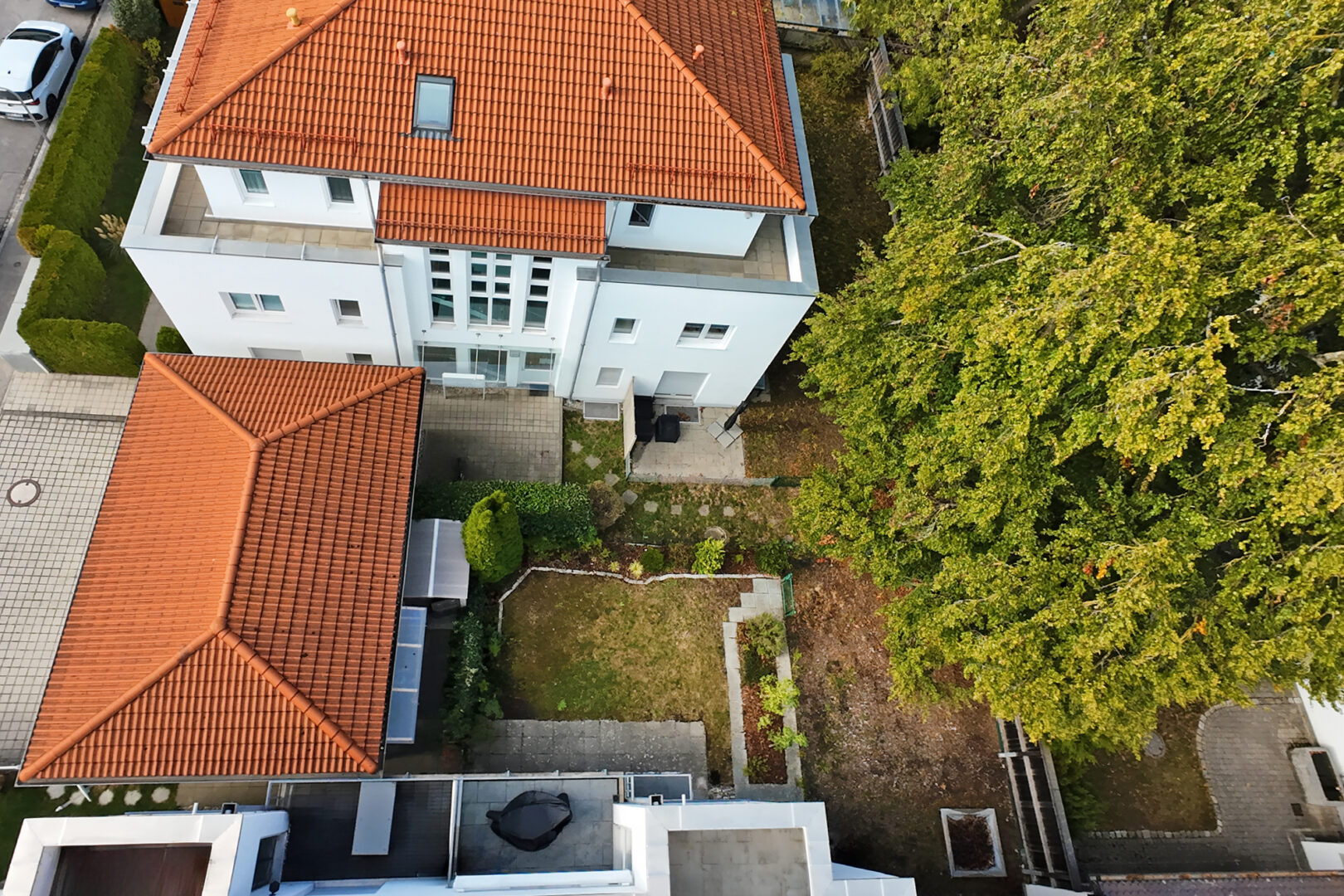 Blick in den Garten